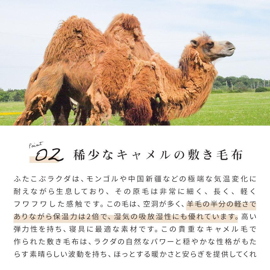 キャメル敷きパッド シングル 日本製 キャメル100％ ハイパイル 毛布