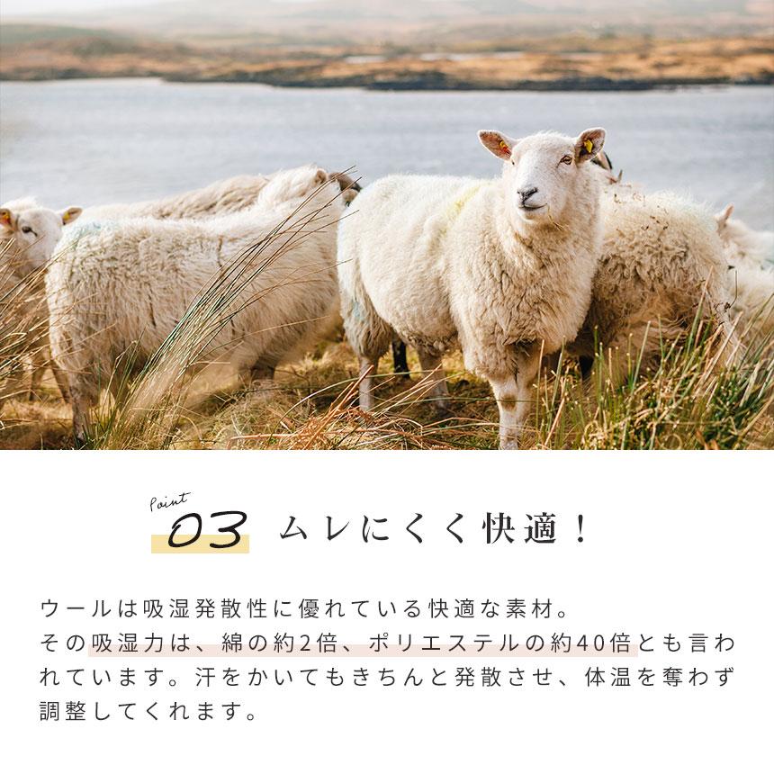 西川（nishikawa） ウール毛布 シングル 日本製 泉州 毛羽部分ウール