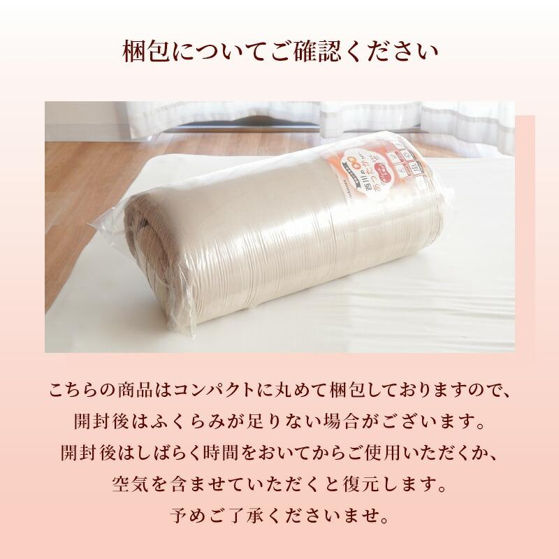 西川（nishikawa） あったか多層毛布 掛け布団カバー 2枚セット