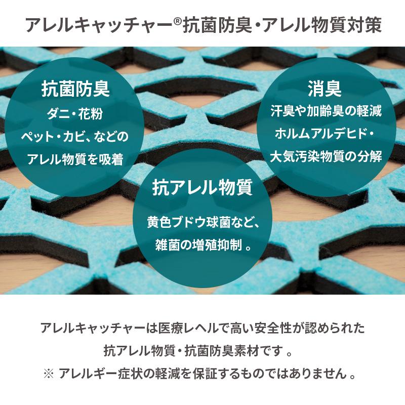 すのこ型除湿マット エアジョブMAX 抗アレル物質タイプ シングル