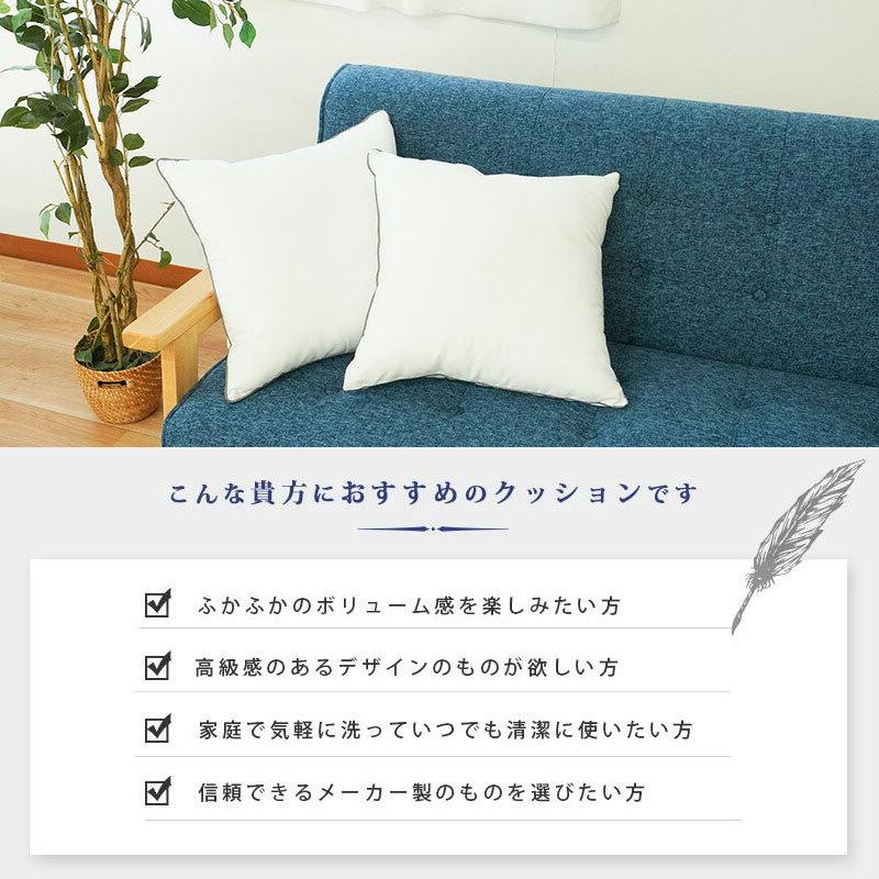 昭和西川 クッション ウォッシャブル ホテルモード ピロー 洗える