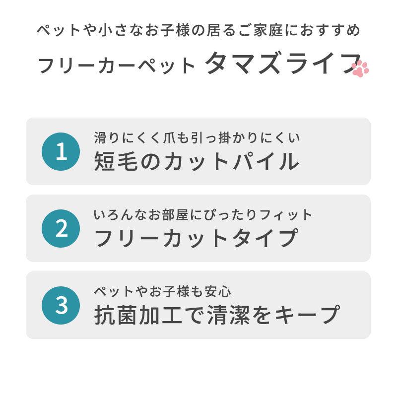 カーペット 絨毯 6畳 261×352cm 日本製 ペット対応 対策 じゅうたん 抗菌 フリーカット タマズライフ 小型犬 猫｜futon｜12