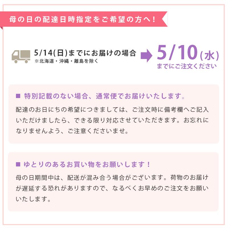 【販売期間5/26まで】 母の日 父の日 プレゼント ギフト ペアギフト 日本製 い草まくら 今治産 白雲フェイスタオル 4点セット｜futon｜12