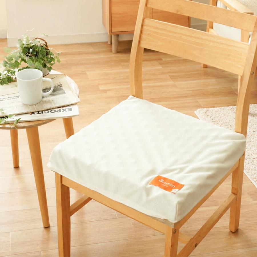 新品・未使用 ボナノッテ プレミアムシートクッション 西川 西川（nishikawa） シートクッション 点で支えるクッション 40×40cm