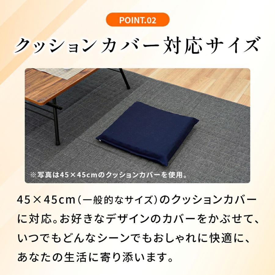 西川（nishikawa） シートクッション 点で支えるクッション 40×40cm