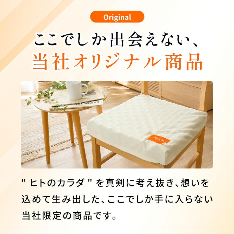 西川（nishikawa） シートクッション 点で支えるクッション 40×40cm