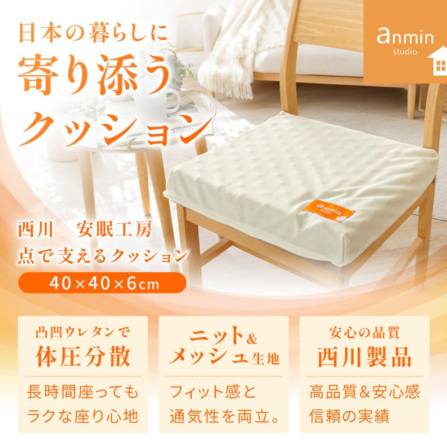 西川（nishikawa） シートクッション 点で支えるクッション 40×40cm