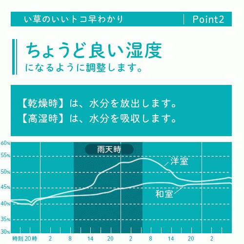 い草ユニット畳 半畳 9枚セット set 4畳半用 抗菌 防ダニ 防カビ 防音 軽量 置き畳 ふんわり与那国｜futon｜05