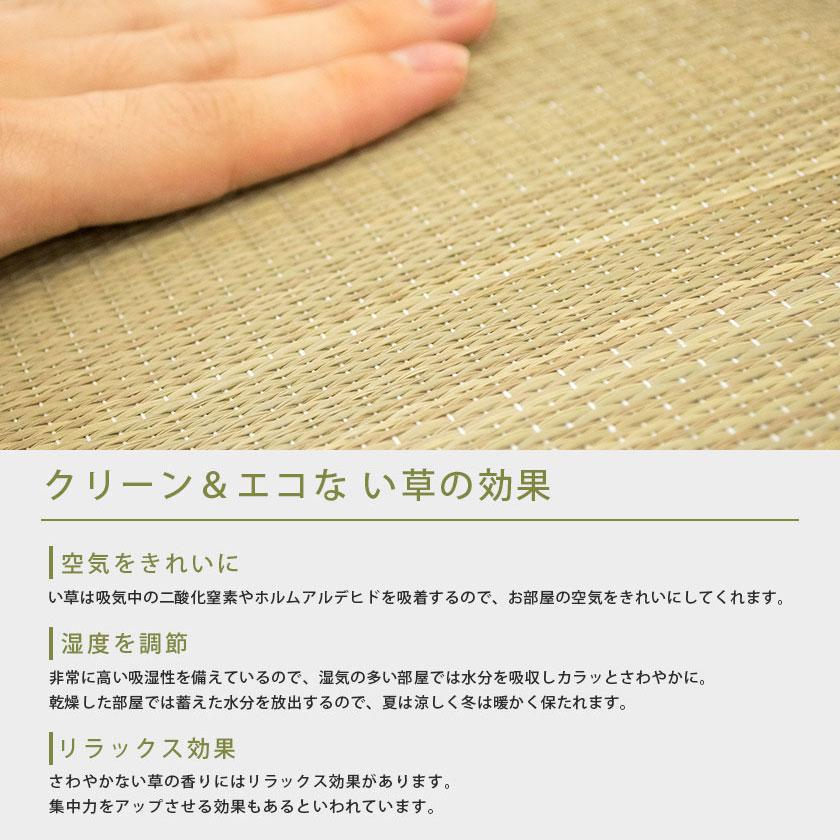 い草 座布団 55 55cm 夏 防カビ ウレタン入り 座布クッション 和柄 水仙 こだわり安眠館 Paypayモール店 通販 Paypayモール