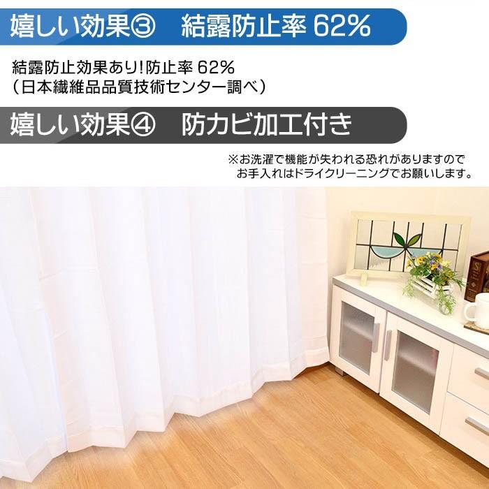 遮像レースカーテン 幅100×丈133cm 2枚組 日本製 遮熱 断熱 結露防止