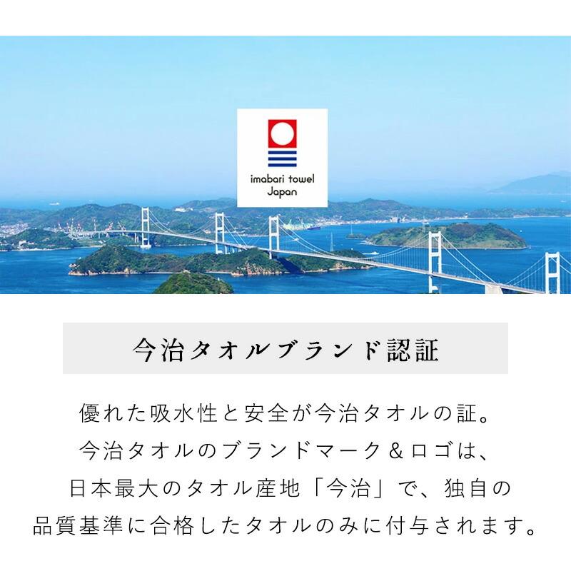 今治タオル 枕カバー 43×63cm 日本製 綿100％パイル タオル地 ファスナー式 ピローケース 無地 まくらカバー ピロケース | 今治タオル | 06