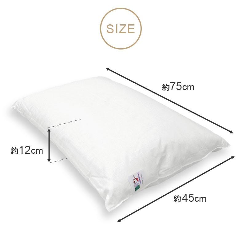 枕 まくら 肩こり 首が痛い オルトペディコ アンナブルー スリープメディカル枕 首こり イタリア製 快眠 ピローケース付き |  | 11