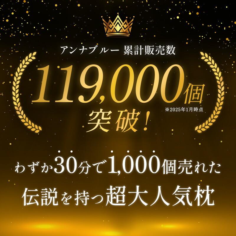 【1個あたり4,150円】枕 まくら オルトペディコ アンナブルー スリープメディカル枕 2個セット set イタリア製 ピローケース付き