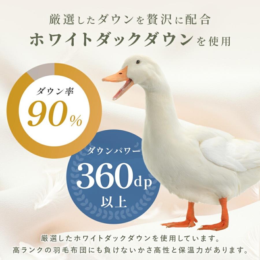 2枚合わせ羽毛布団 シングル ホワイトダウン90％ 約1.0kg 綿100％ 日本製 オールシーズン エコテックス 京都金桝 当社限定 |  | 11