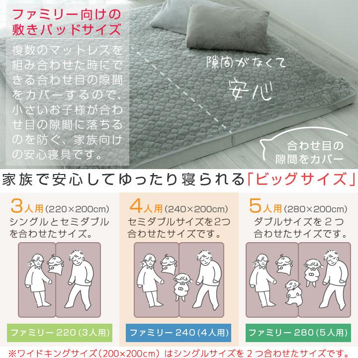 Colorsroom 敷きパッド シングル リバーシブル 100×200cm 防ダニ