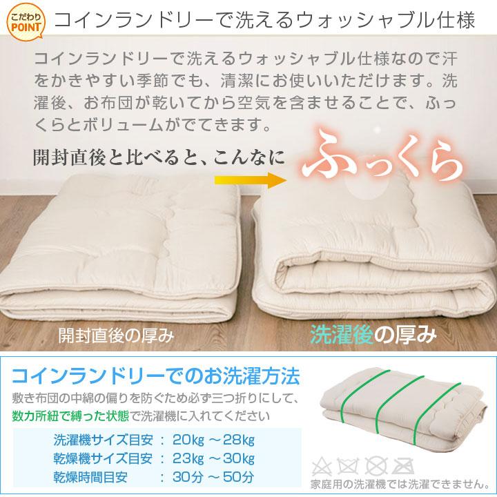 Colorsroom 敷布団 布団 セミダブル 固綿入り 三層構造 底付き低減