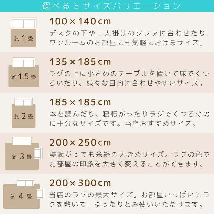 ラグ カーペット 洗える 4.5畳 おしゃれ オールシーズン 200×300 防ダニ ラグマット 滑り止め付 フランネル ホットカーペット 床暖房対応 北欧 | Colorsroom | 35