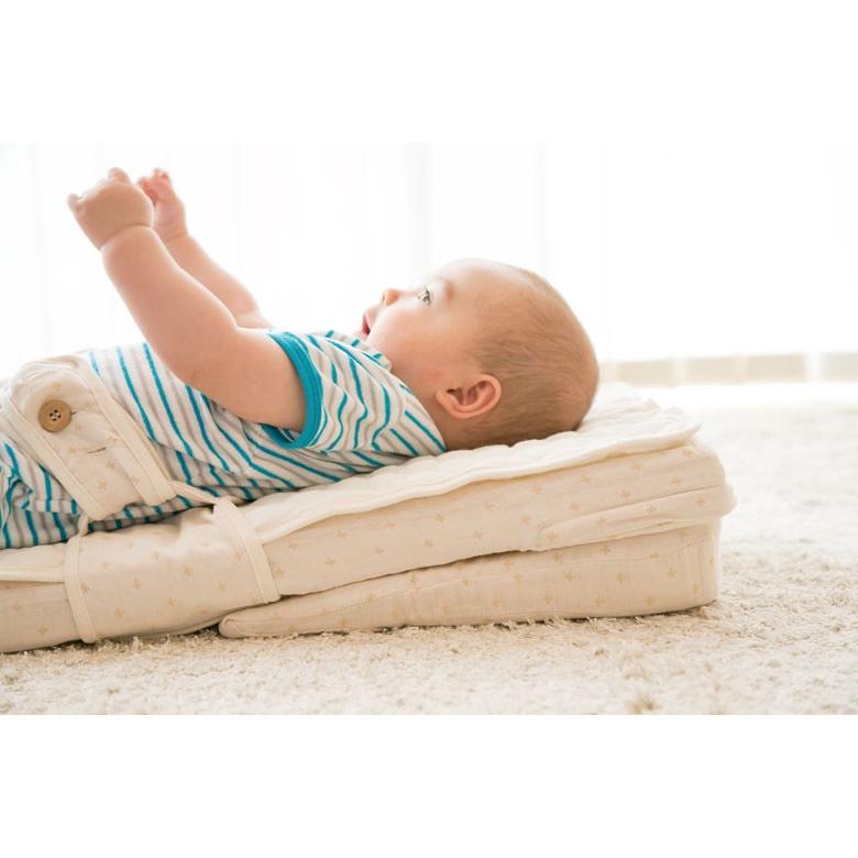 子供用品 farska Bed in Bed flex ファルスカ ベッドインベッド Flex ベビーベッド