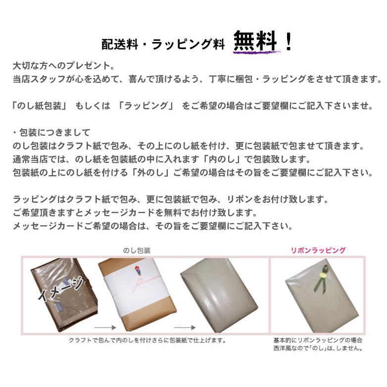 西川（nishikawa） カシミヤ毛布 シングルサイズ 140x200cm 日本製 T