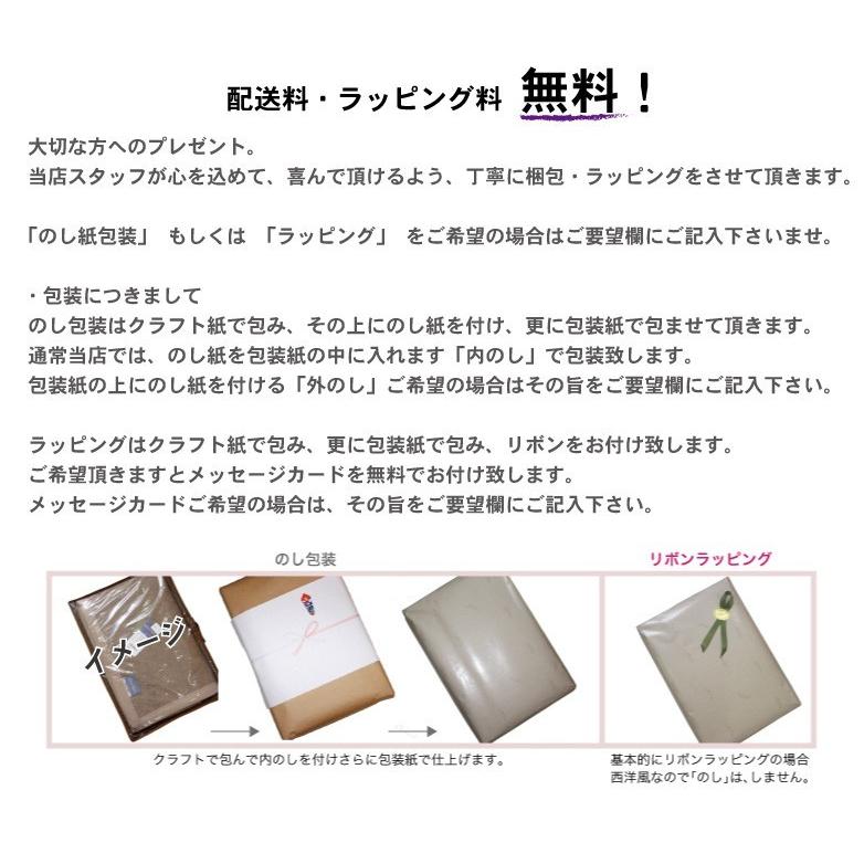西川（nishikawa） 東京西川 カシミヤ毛布 （毛羽部分） ダブルサイズ