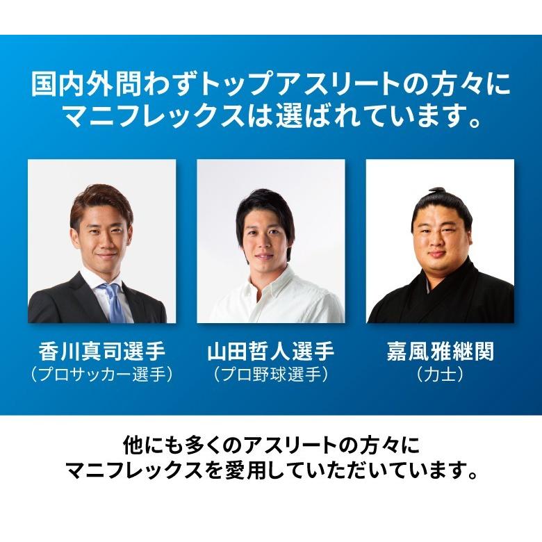 magniflex（マニフレックス） メッシュウィング 三つ折り ダブルサイズ