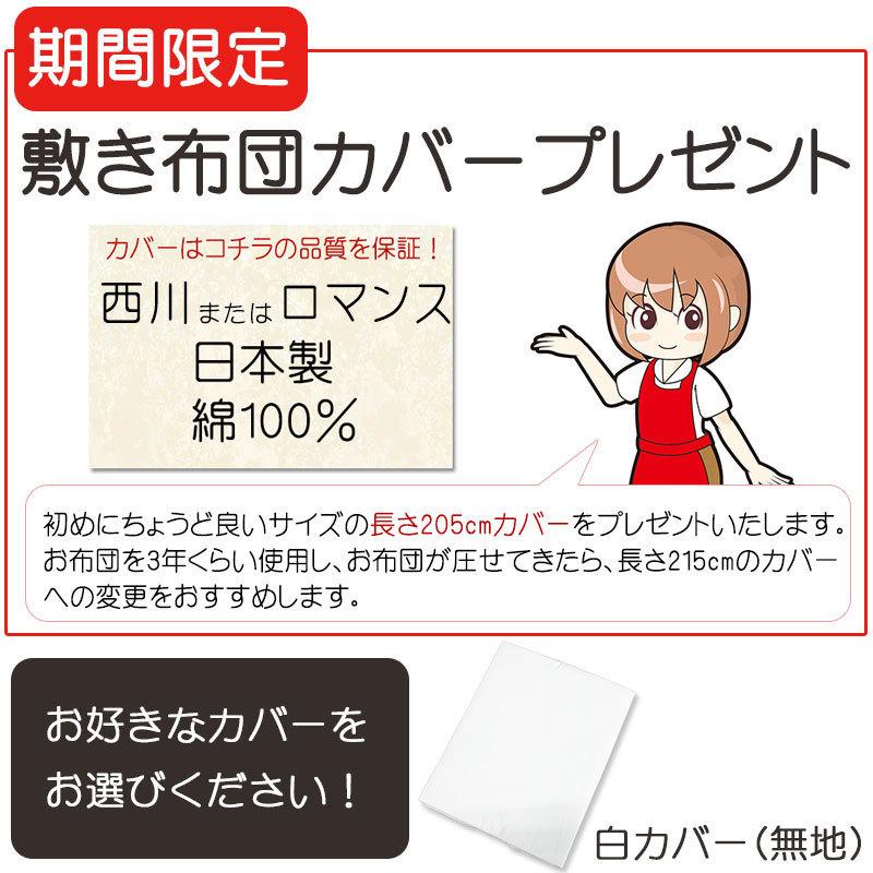 完売です！西川生地使用手造ダブル敷布団145x 200cm中わた綿100%軽量！ 楽天市場】西川 アウトレット 敷布団の通販 完売です！西川生地使用手