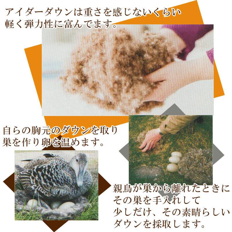 西川（nishikawa） 京都西川 最高級羽毛肌布団 アイスランド産