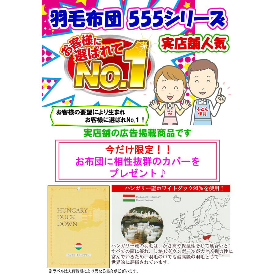 甲州産【555シリーズ・ツインSDダック93】【高級カバープレゼント】セミダブル ハンガリー産ホワイトダックダウン93％ ツインキルト_1