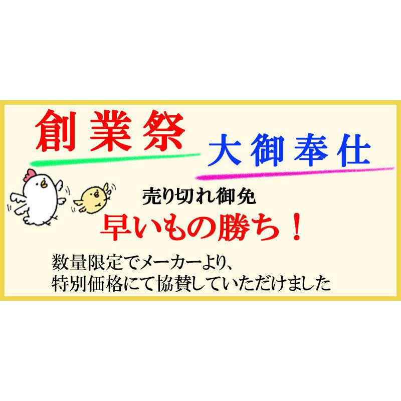 昭和西川 【大特価 創業祭】【昭和西川】羽毛布団 マザーグース95 