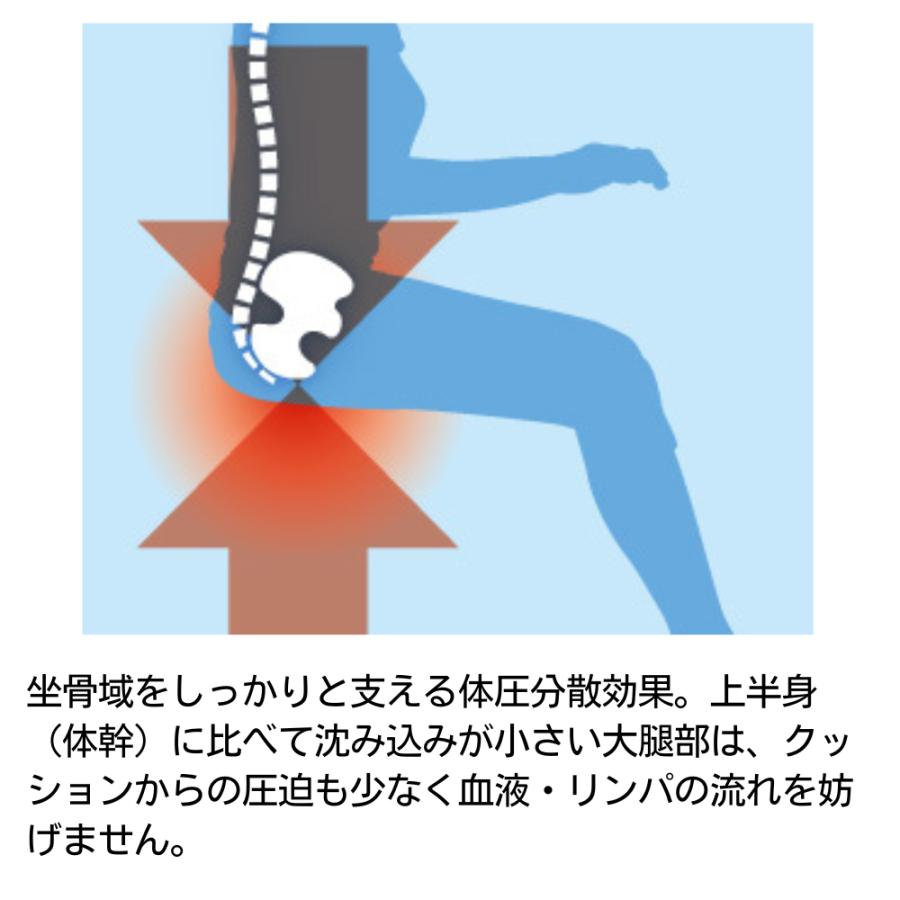 マニフレックス ファンクッションII 高反発 椅子クッション 腰痛対策 デスクワーク チェアクッション 体圧分散 正規品 | magniflex | 03