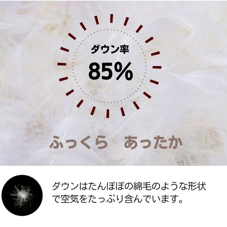 ロマンス　羽毛肌掛け布団・ダウンケット・いちご泥棒・シルバーダウン８５%・ダブル WILLIAM MORRIS GALLERY 肌掛け布団 ダウンケット シングル 日本