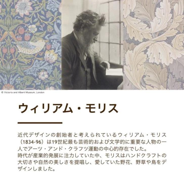 ロマンス小杉 綿毛布(毛羽部分) シングル 日本製 いちご泥棒 ロマンス小杉 綿毛布(毛羽部分) シングル 日本製 いちご泥棒
