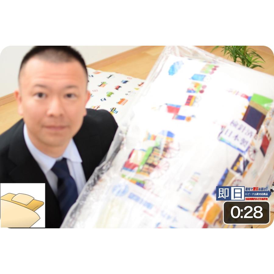 取り調べる  natsuki なつき 日本製 クボタ 布団、寝具-タオルケット-ガーゼケット