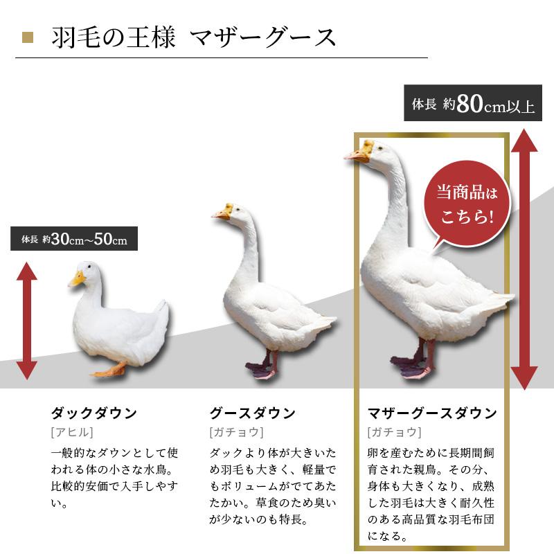 羽毛布団 シングル 西川 マザーグース93％ 羽毛掛布団 日本製 高品質 ダウンパワー430DP以上 詰め量1.2kg 増量 国産 完全立体キルト 西川株式会社 150×210cm｜futonno-kura｜06