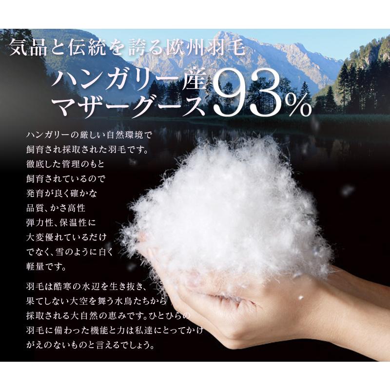 西川（nishikawa） 羽毛布団 シングル 二層キルト 近江仕立て 430dp