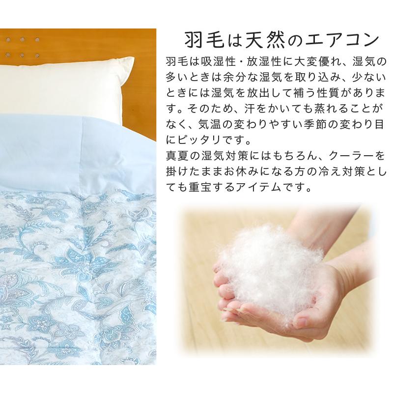 西川 ダウンケット シングル 洗える 羽毛肌掛け布団 150×210 西川 ダウンケット シングル 洗える 羽毛肌掛け布団 150×210