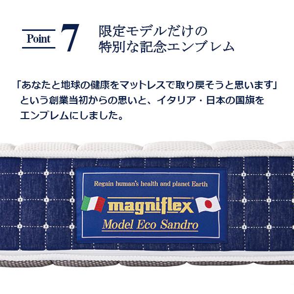 ★ マットレス magniflex COOLMAX セミダブル マニフレックス magniflex（マニフレックス） マットレス エコサンドロ セミダブル