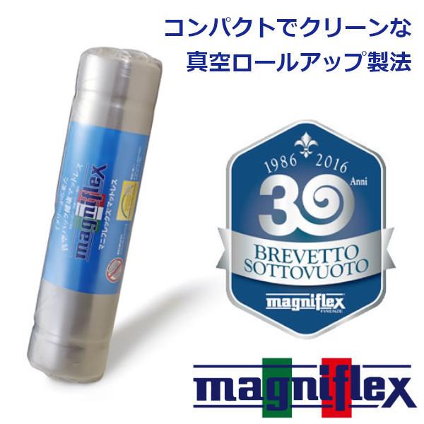 magniflex マニフレックス マットレス モデル246 ダブルサイズ magniflex マニフレックス マットレス モデル246 ダブルサイズ