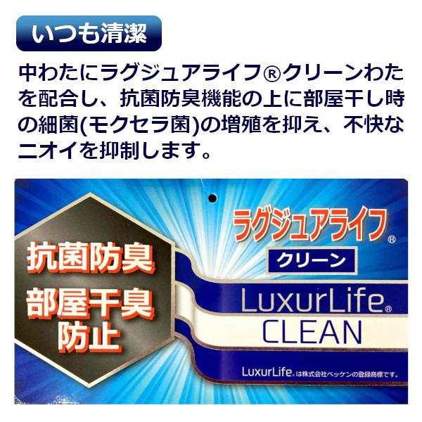 冷感敷パット 氷結 スパークリングマックス ダブルサイズ 抗菌 防臭 防ダニ ひんやり_6