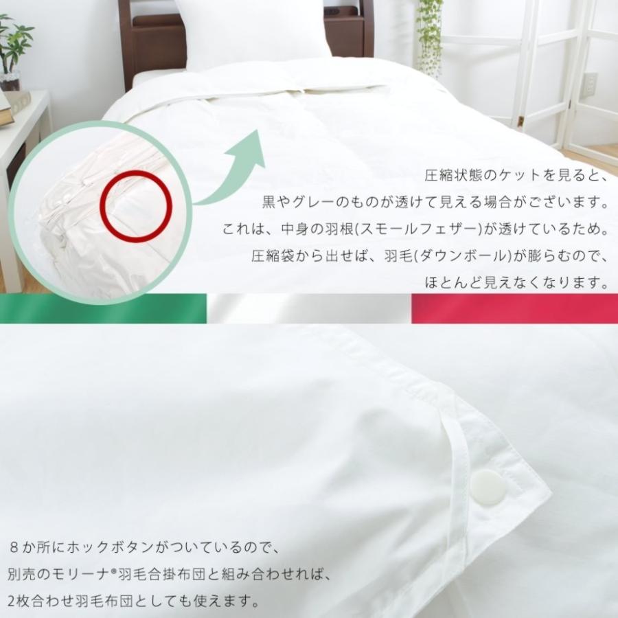羽毛肌掛け布団 シングル ダウンケット 春夏用 イタリア ホワイトグースダウン90％ 抗菌 日本製 モリーナグラン 圧縮梱包_12