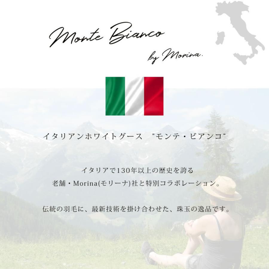 羽毛肌掛け布団 シングル ダウンケット 春夏用 イタリア ホワイトグースダウン90％ 抗菌 日本製 モリーナグラン 圧縮梱包_2