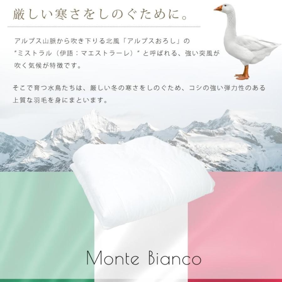 羽毛肌掛け布団 シングル ダウンケット 春夏用 イタリア ホワイトグースダウン90％ 抗菌 日本製 モリーナグラン 圧縮梱包_4