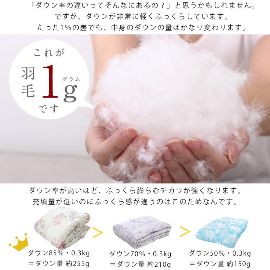 西川（nishikawa） ダウンケット 羽毛肌掛け布団 シングル ロング