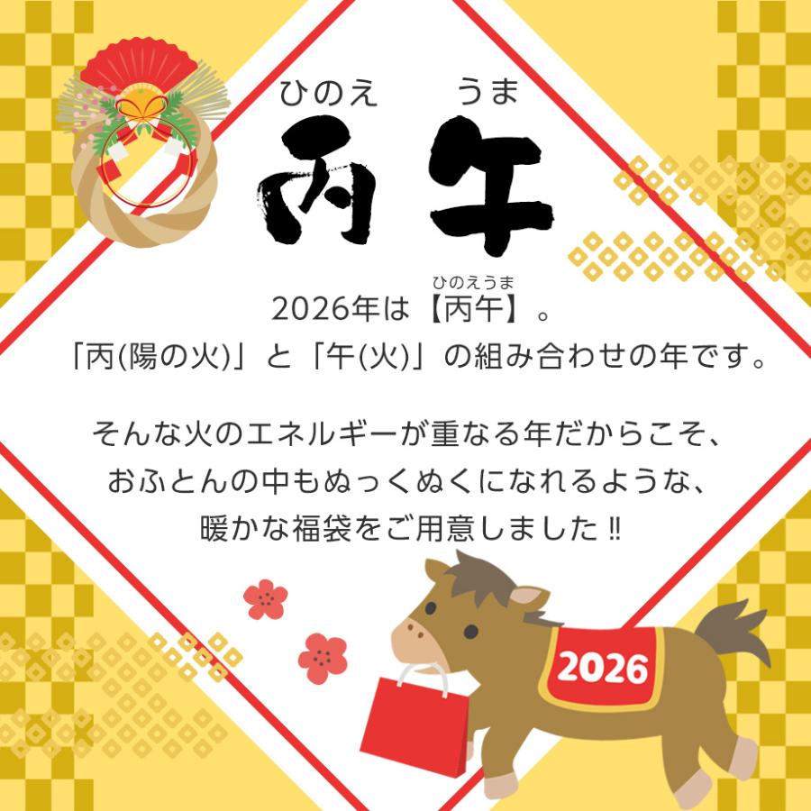 西川（nishikawa） 新春 福袋 2026 羽毛布団 シングル 製 あったか