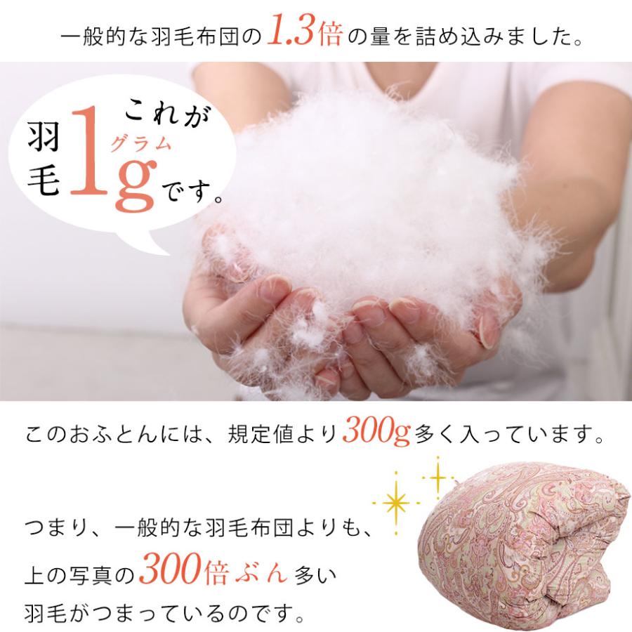 西川（nishikawa） 羽毛布団 シングル 掛け布団 冬用 暖かい 日本製