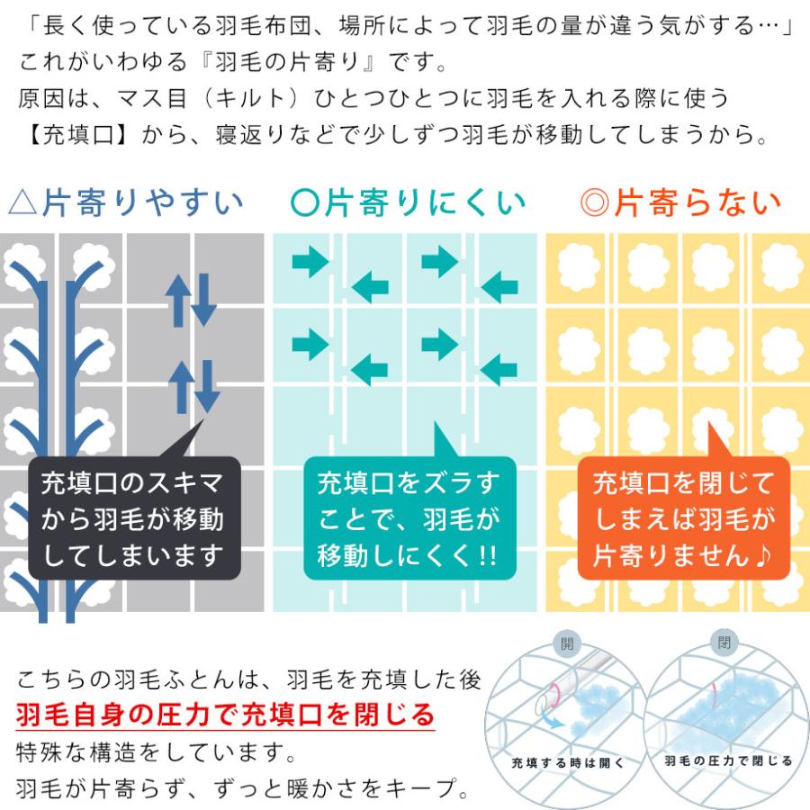 西川（nishikawa） 羽毛布団 ゴアテックス シングル フランス産 ダウン
