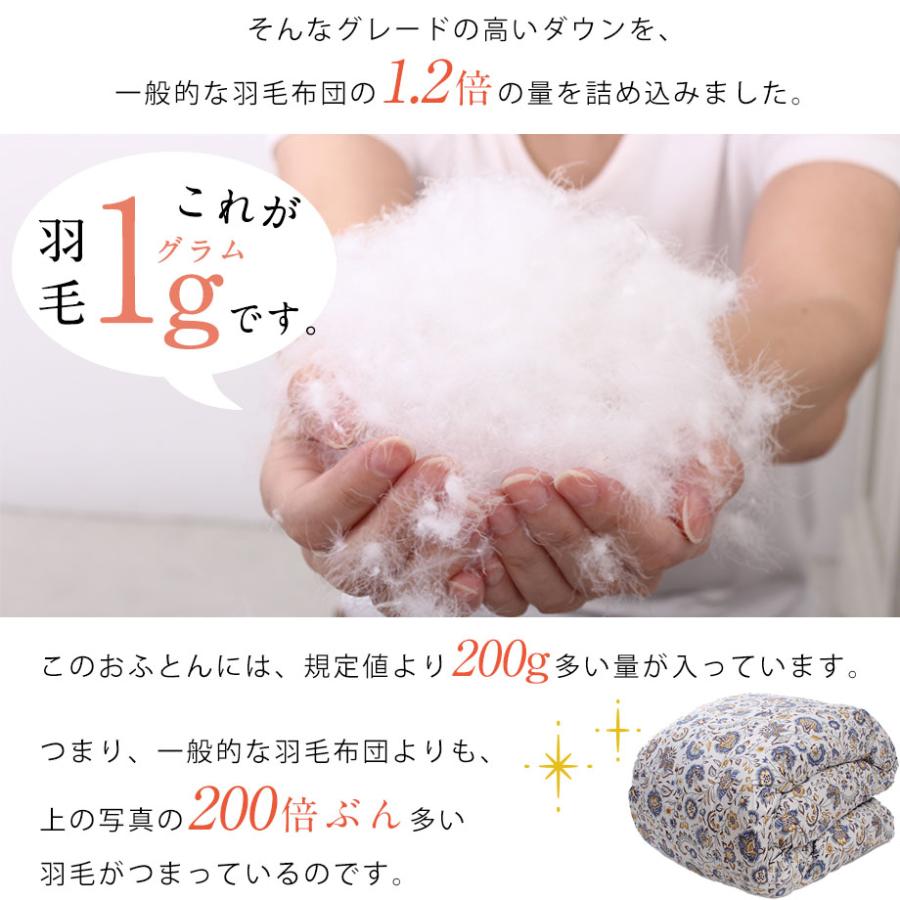 西川（nishikawa） 羽毛布団 ゴアテックス シングル フランス産 ダウン