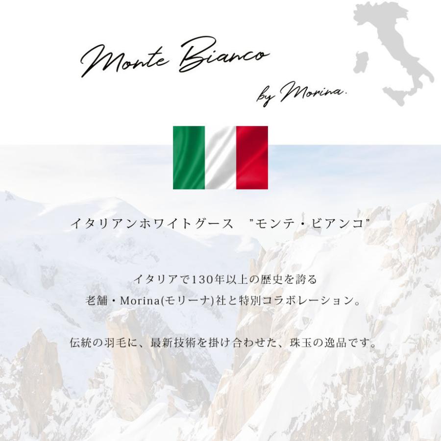 羽毛布団 シングル 掛け布団 冬 暖かい イタリア グースダウン90％ 抗菌 日本製 モリーナグラン 圧縮梱包 じぶんまくら 01-ke-7574-｜futontanaka｜03