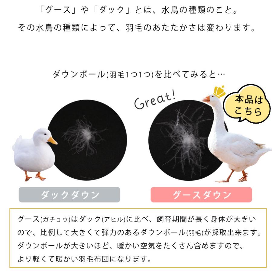 西川 羽毛布団 シングル ホワイト グース ダウン 90% ハウス 西川 羽毛布団 シングル ホワイト グース ダウン 90% ハウス