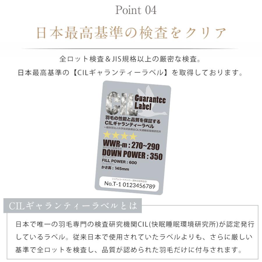 じぶんまくら - molina 鳥毛布団 シングル イタリア共和国 白いこと グース90％ 抗菌 防臭 日本製 締め付ける荷作り イオン ke-01-7574-